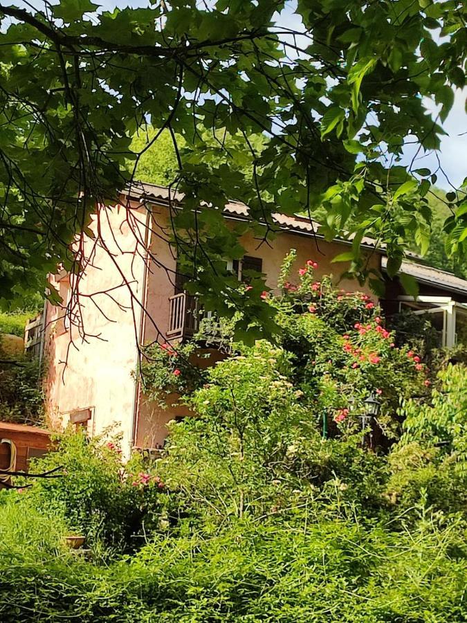 Moulin Vieux Bed & Breakfast La Bollene-Vesubie Bagian luar foto